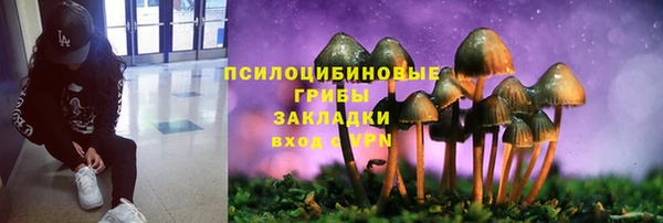 молекула духа Баксан