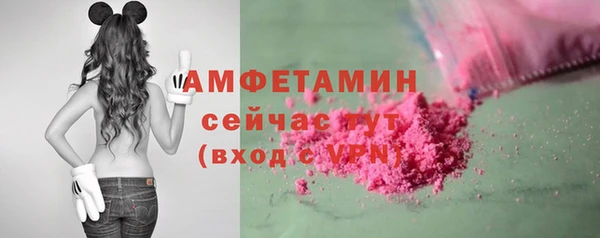 прущие грибы Балабаново
