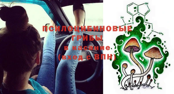 прущие грибы Балабаново