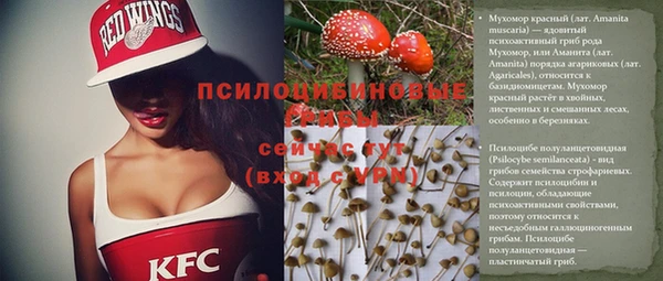 прущие грибы Балабаново