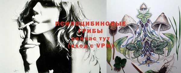 прущие грибы Балабаново