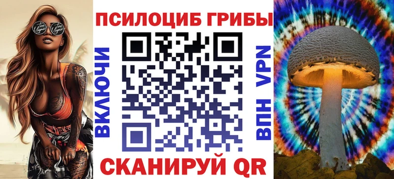 Галлюциногенные грибы Psilocybe  нарко площадка формула  Ликино-Дулёво 