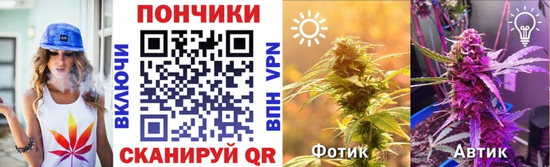 Канабис ГИДРОПОН  сколько стоит  Ликино-Дулёво 